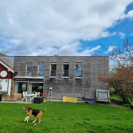 Appartement Hard Bodensee Exterior foto